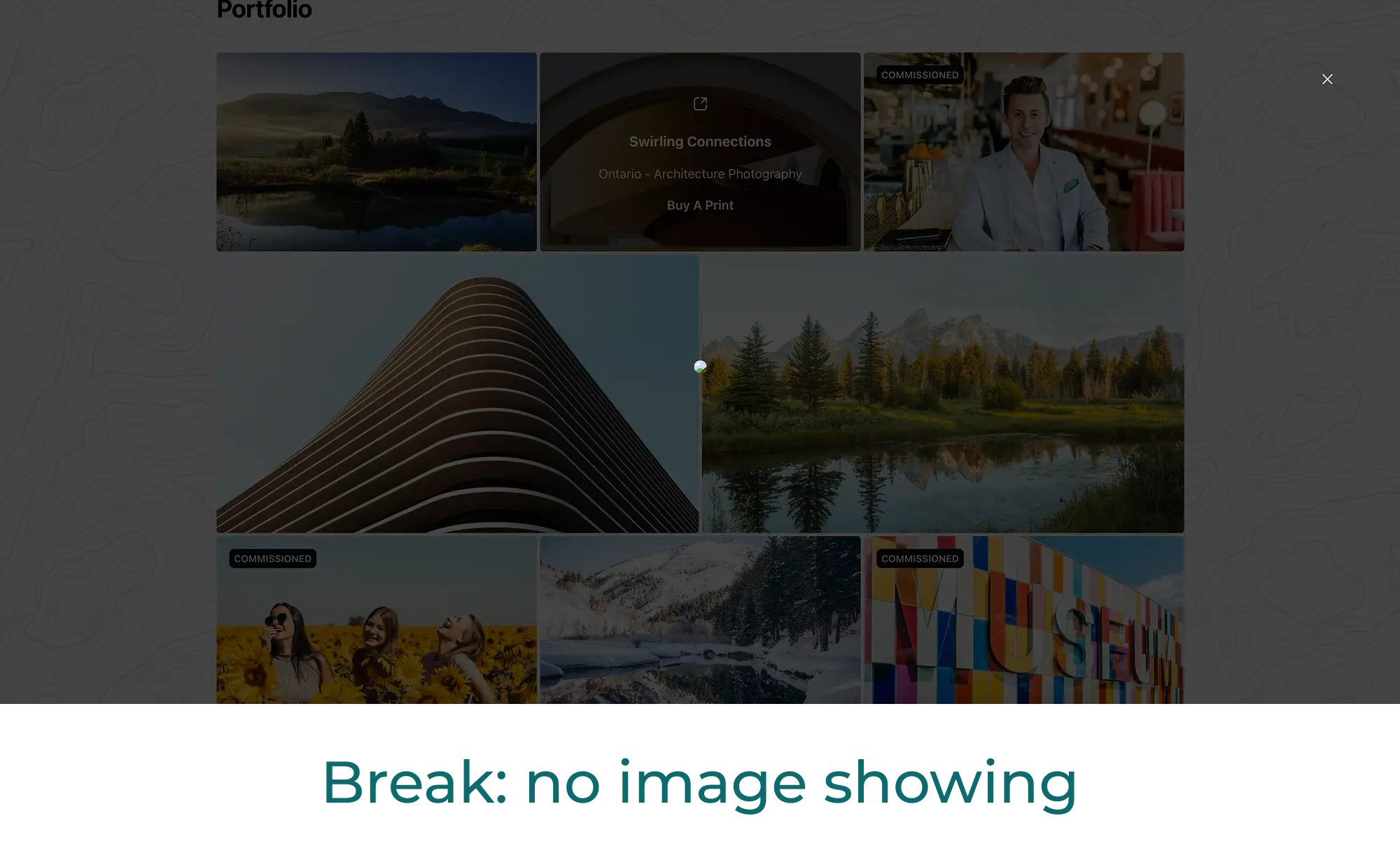 no image loading inside the modal
