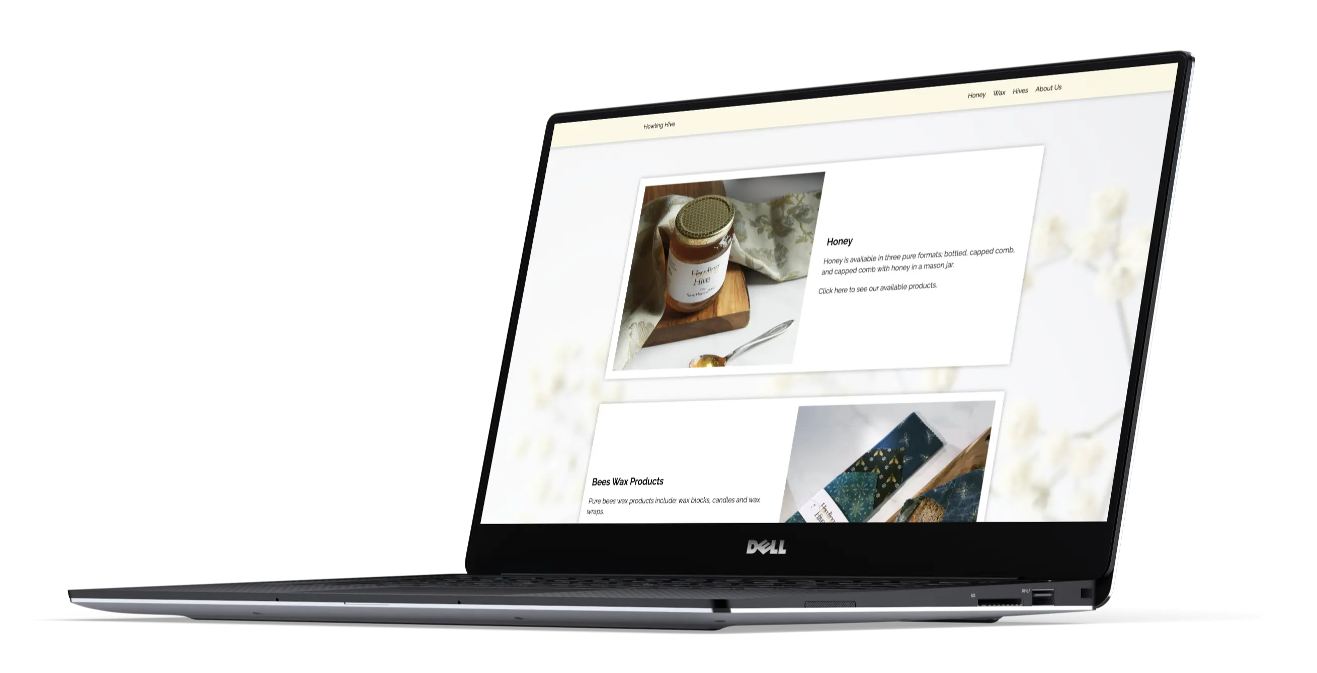website homepage on a laptop